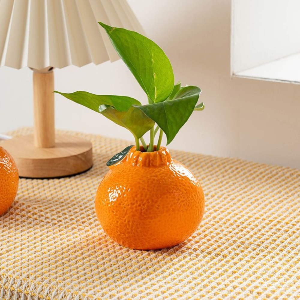 Niedliche Orangenförmige Keram – Hydroponic Grow Pod Bewertung und Preis