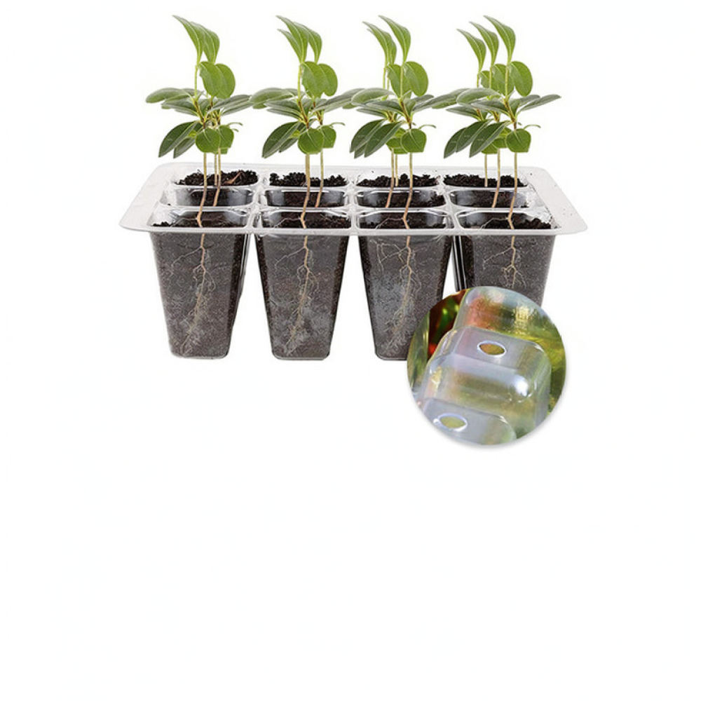 Pflanzenwachstumslicht-Starter – Indoor Garden Kit Bewertung und Preis