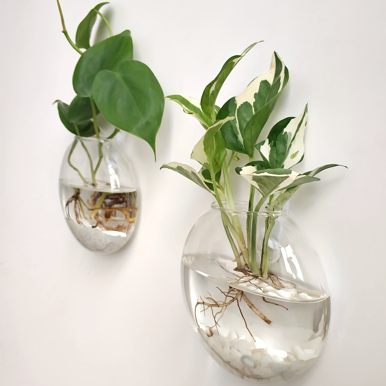 2 Stück / 4 Stück / 6 Stück Wa – Hydroponic Grow Pod Bewertung und Preis