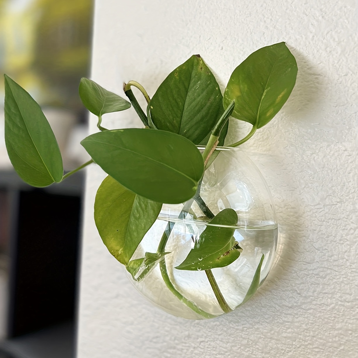2 Stück / 4 Stück / 6 Stück Wa – Hydroponic Grow Pod Bewertung und Preis