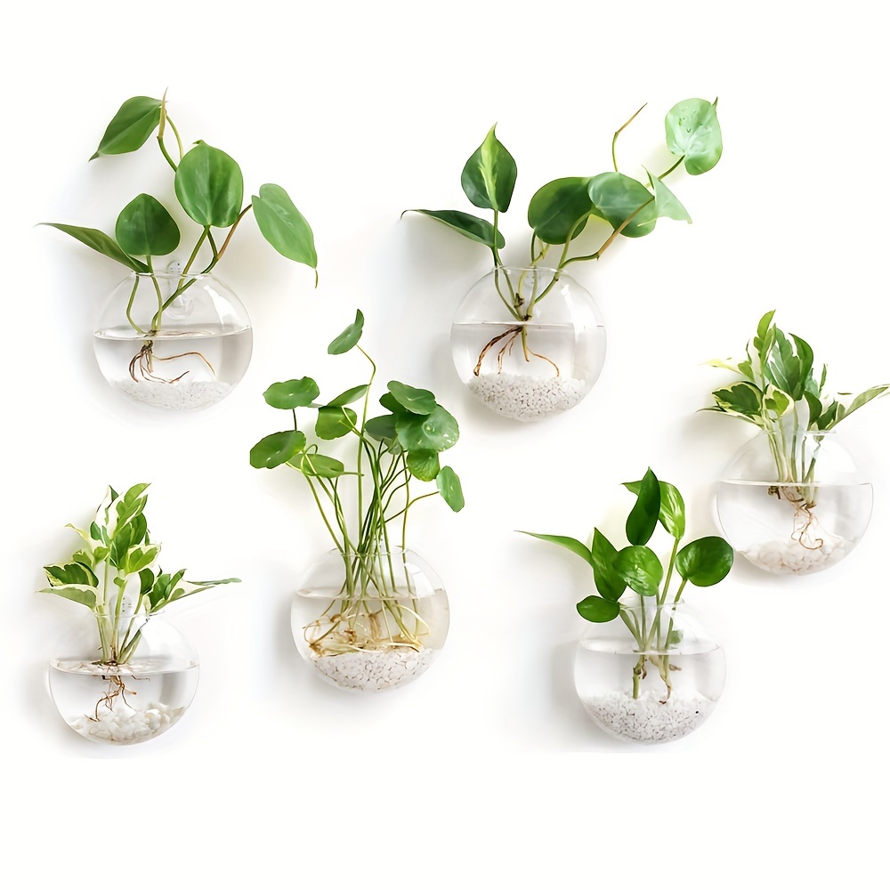 2 Stück / 4 Stück / 6 Stück Wa – Hydroponic Grow Pod Bewertung und Preis