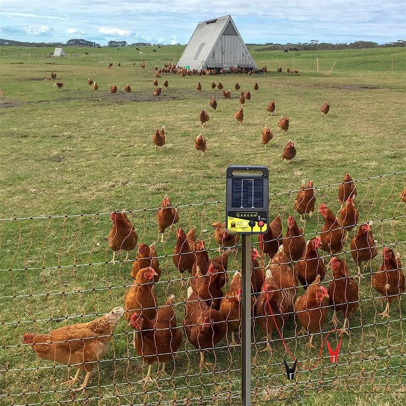 2 stücke gärten Solar Zaun Lad – Smart Garden Kit Bewertung und Preis